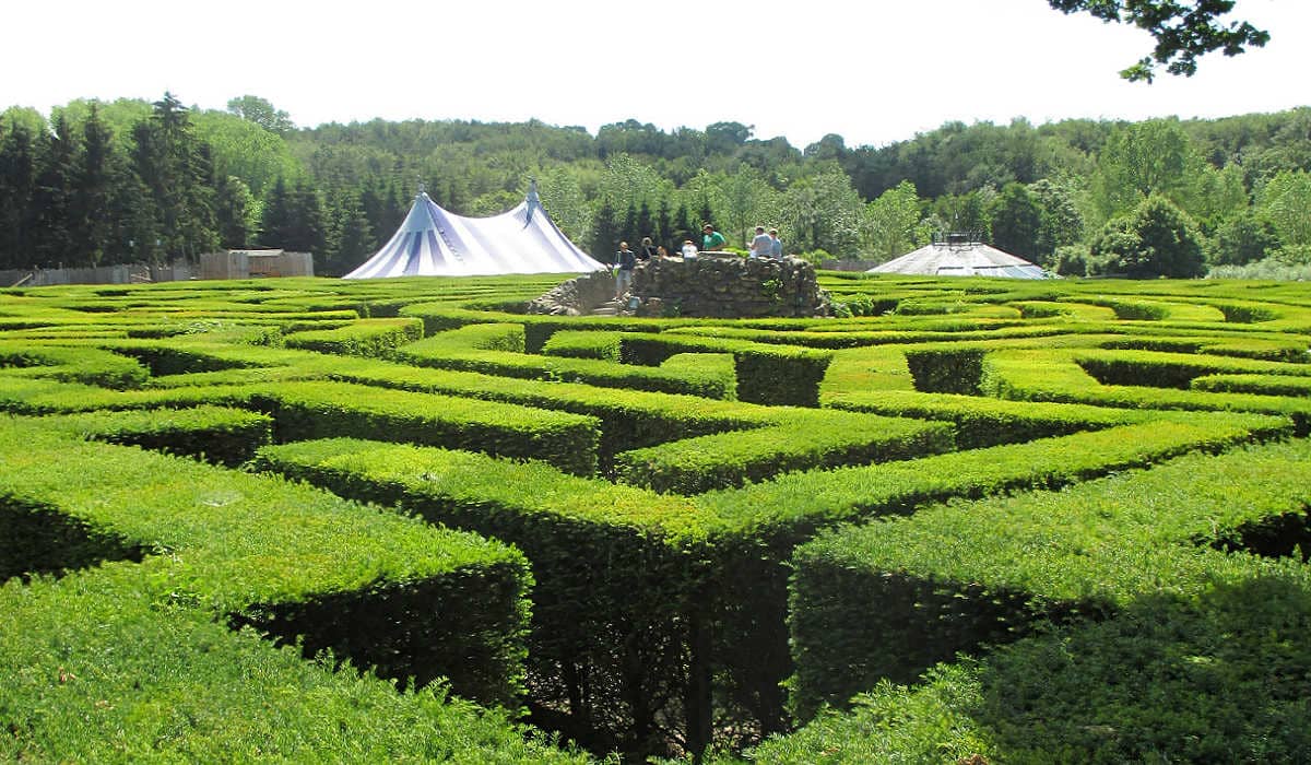 The maze