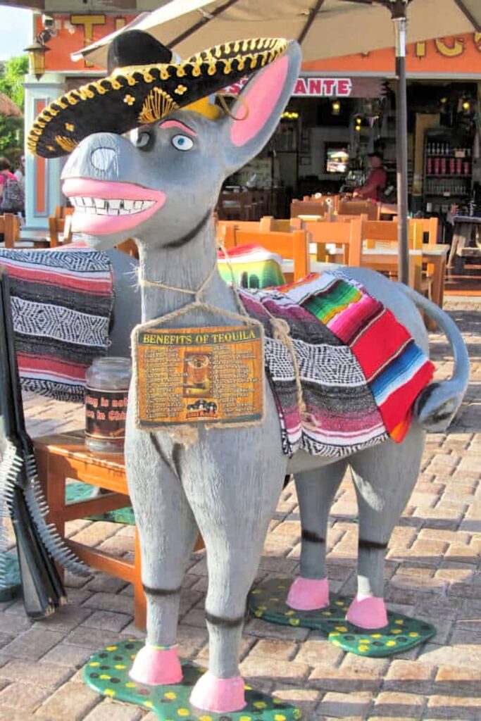 Mexican tequila donkey