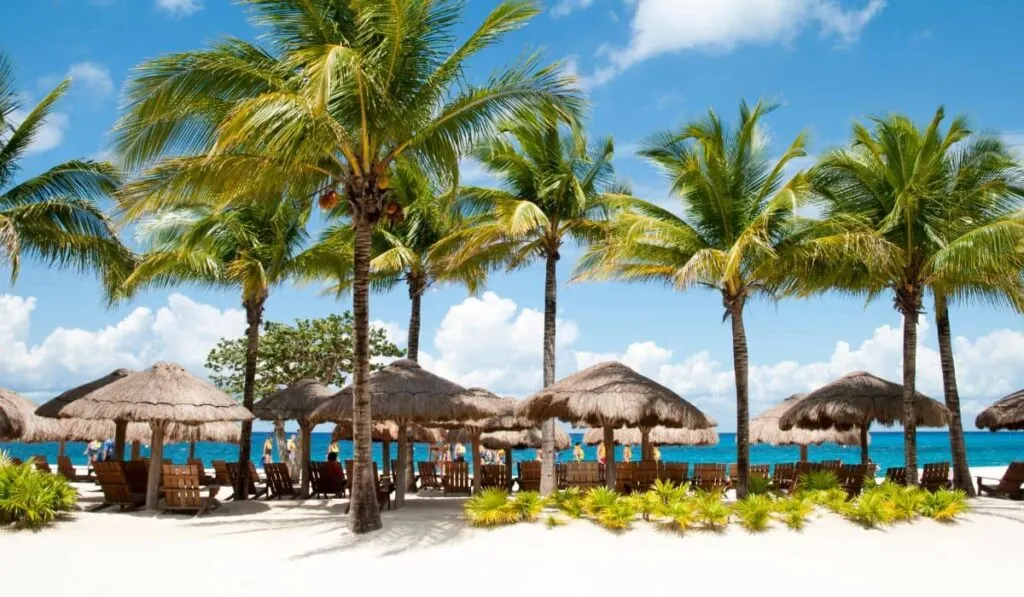 Cozumel beach with palapas umbrellas