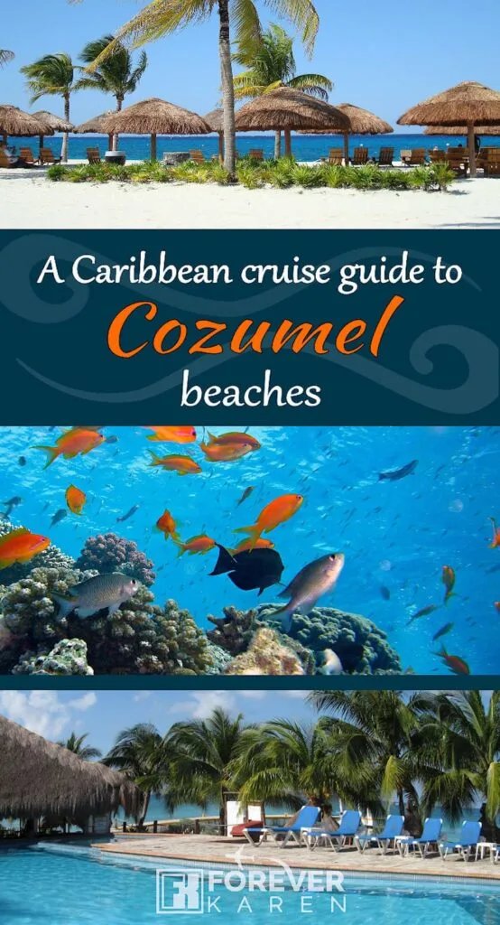 Cozumel beaches and tropical fish in the ocean near Cozumel