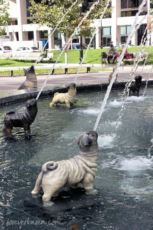 Dogs at the dog fountain