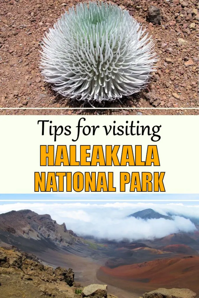 Haleakala National Park in Maui is popular place for amateur astronomers, avid hikers and those who want to view an amazing sunrise. It also has more endangered species than any other United States national parks. #hawaiitravel #maui #haleakalanationalpark 