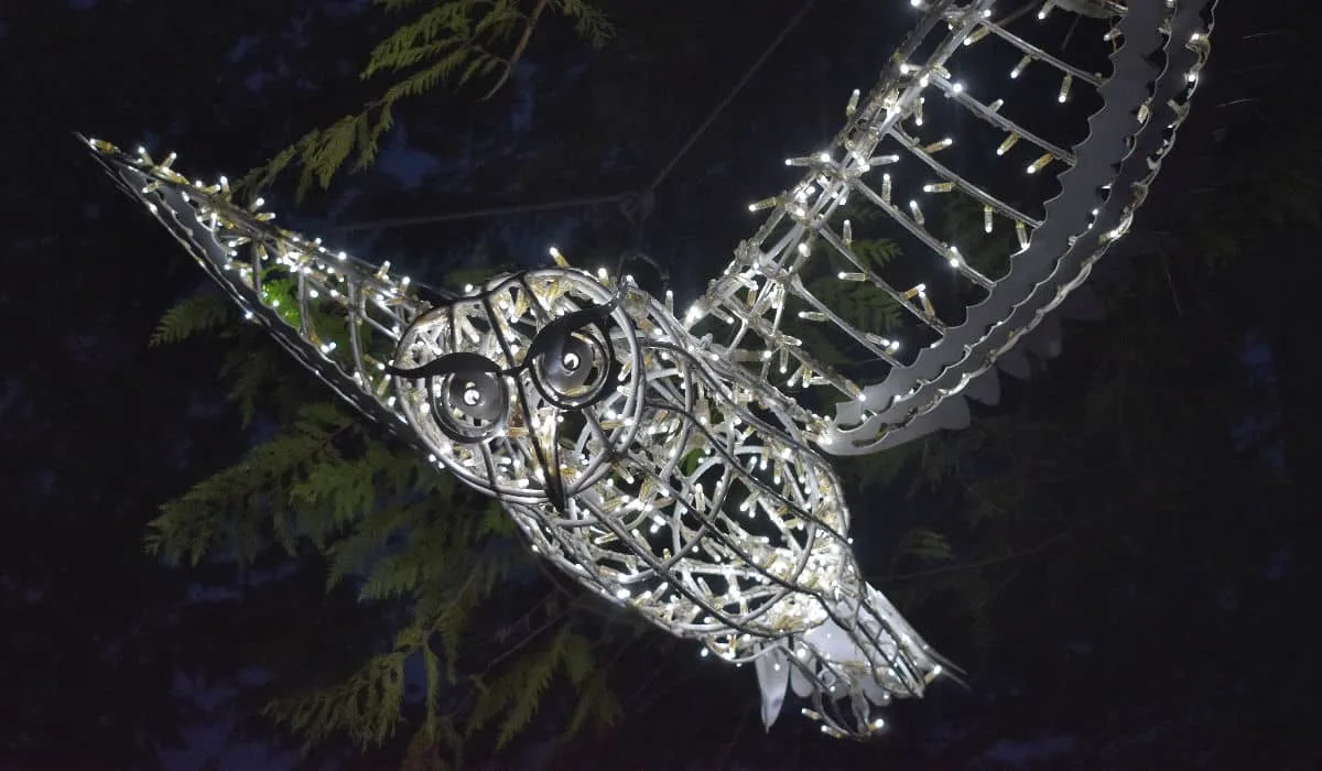An illuminated snowy owl at Canyon Lights