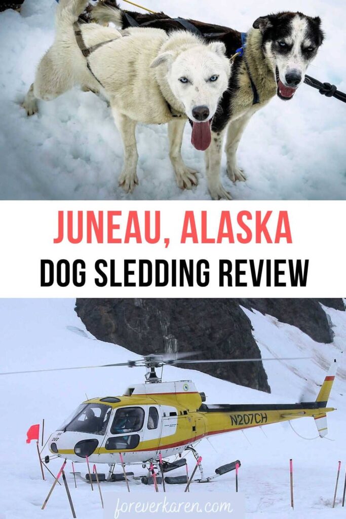 Sled dog and Coastal Helicopter on Herbert Glacier, Alaska