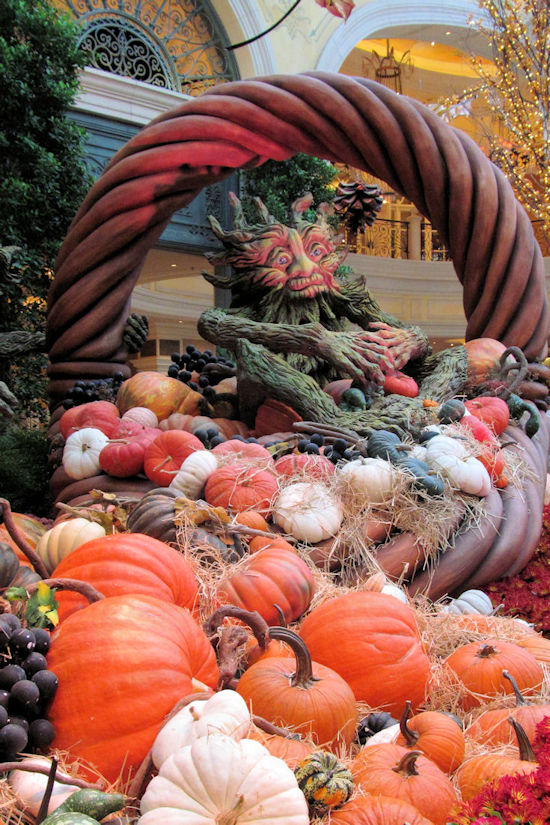 Fall display at the Bellagio