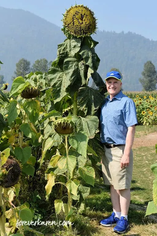 Brian with a giant sunflower