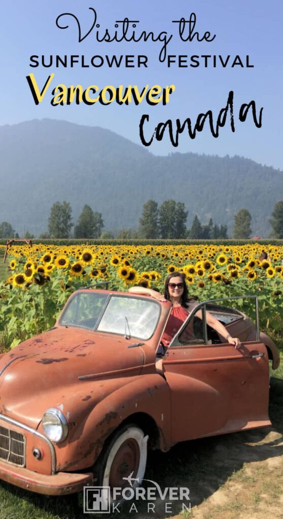 The Chilliwack Sunflower Festival allows Vancouverites and visitors to enjoy acres of glorious sunflowers, dahlias and gladiolus blooms. From mid-August until early September, the flowers that worship the sun radiate in full bloom. #sunflowers #ChilliwackSunflowerFest #vancouver