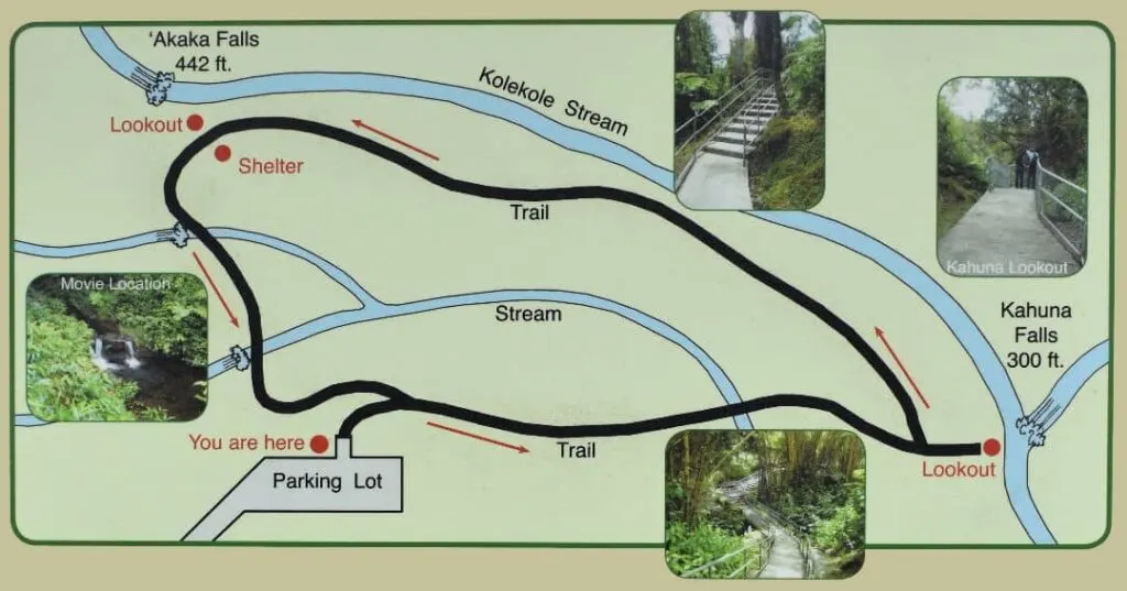  Akaka Falls hiking loop trail