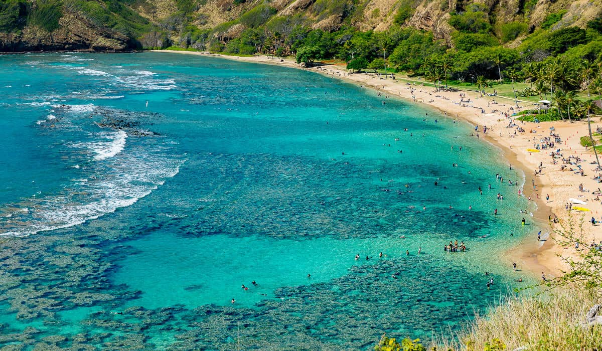 Hanauma Bay coral reefs
