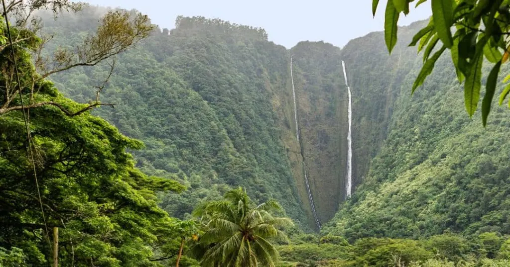 Hi’ilawe Falls is the Big Island’s tallest waterfall