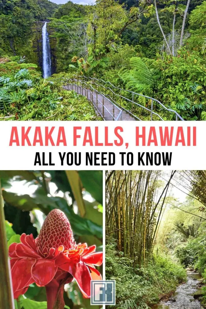 Images of Akaka Falls and the lush greenery on the hike