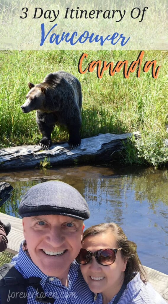 Visiting the grizzly bears on Grouse Mountain in Vancouver