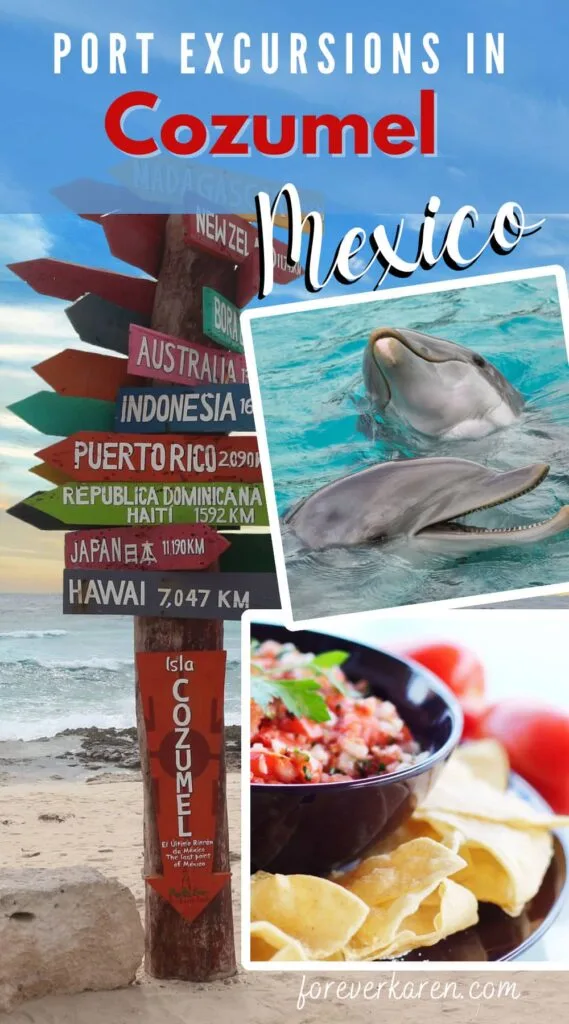 Cozumel direction and distance sign, dolphins and salsa
