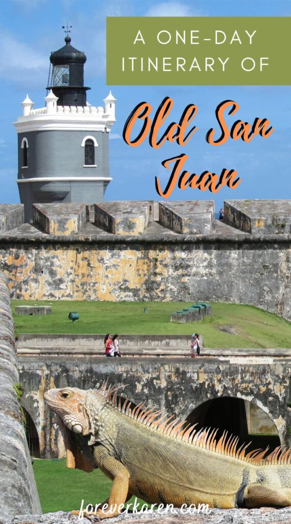 Old San Juan is a UNESCO World Heritage Site with spectacular historical buildings and two fantastic forts. Visit El Morro or San Cristobal, see the San Juan Gate, and walk the beautiful cobblestone streets lined with colorful buildings.