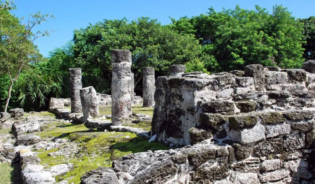 San Gervasio Mayan Ruins in Cozumel