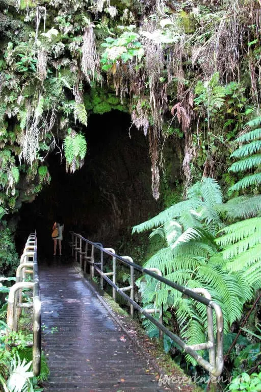 Entrance to the Thurston Lava Tube