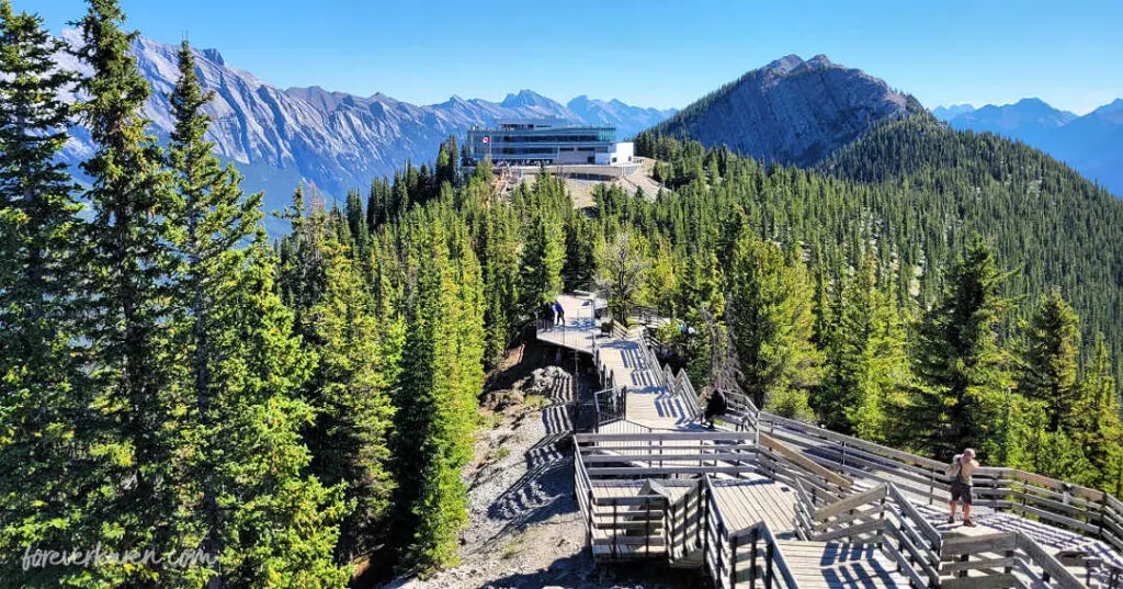 The boardwalk on Sulphur Mountain