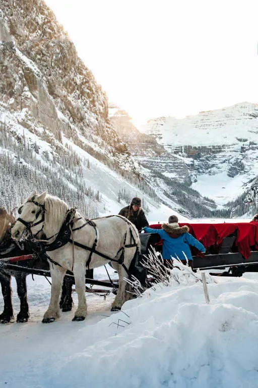 Lake Louise sleigh rides in winter