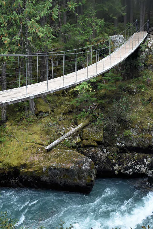 Whistler train wreck suspension bridge
