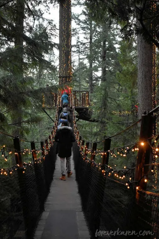 Vancouver's Treetop Adventures in December