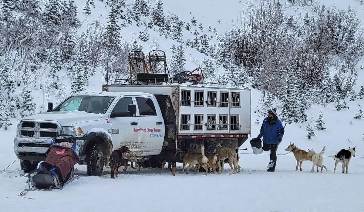 Howling Dog Tours dog trailer