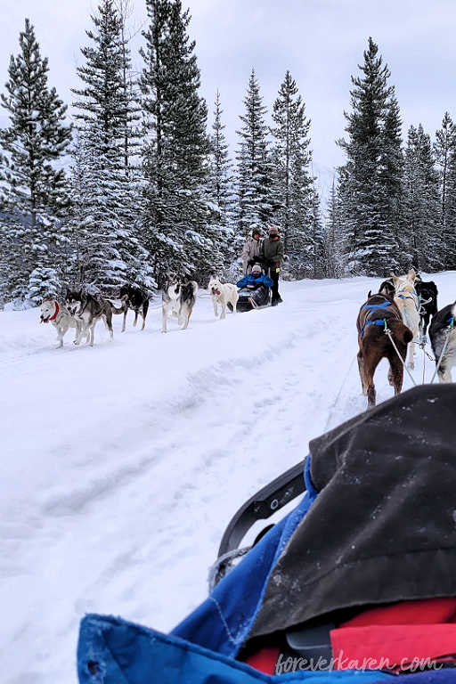 Passing another dog sled team