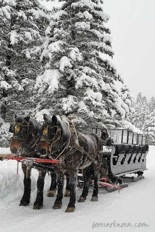 Sleigh ride at Lake Louise