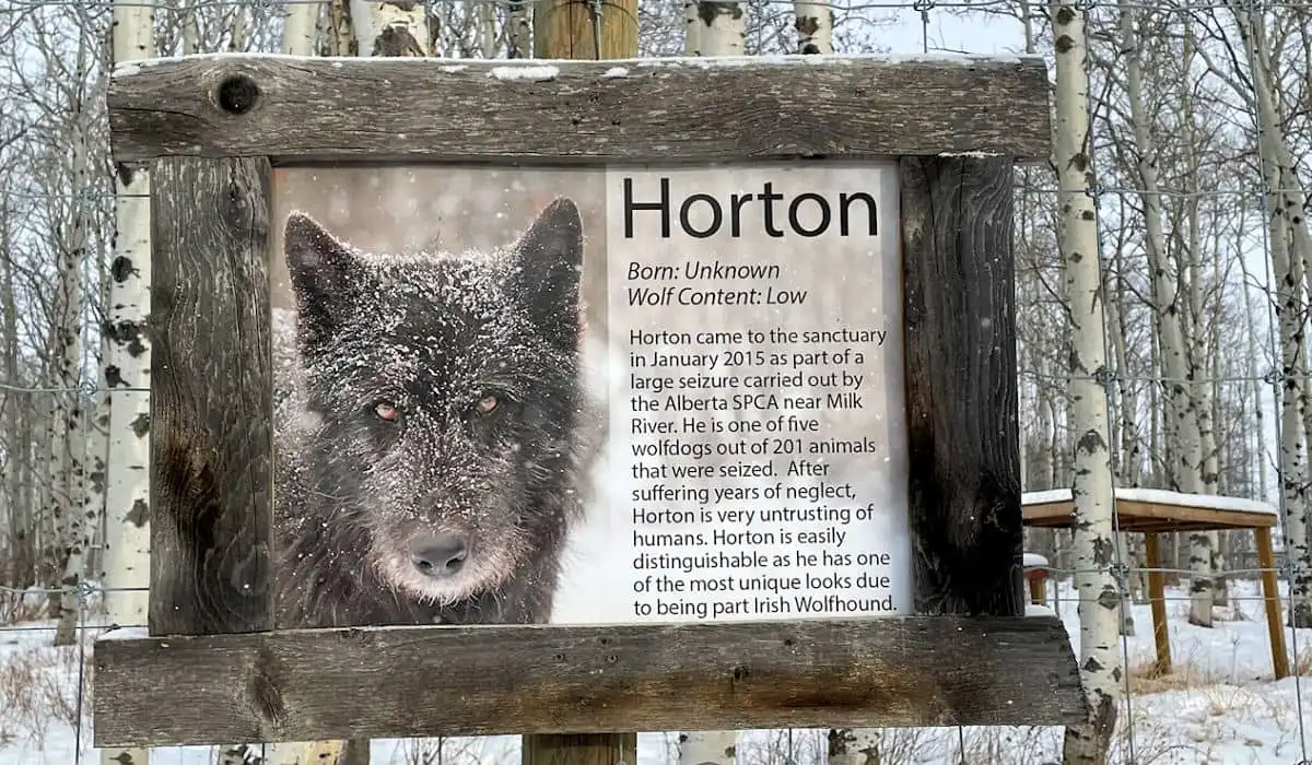Signage at the Yamnuska Wolfdog Sanctuary