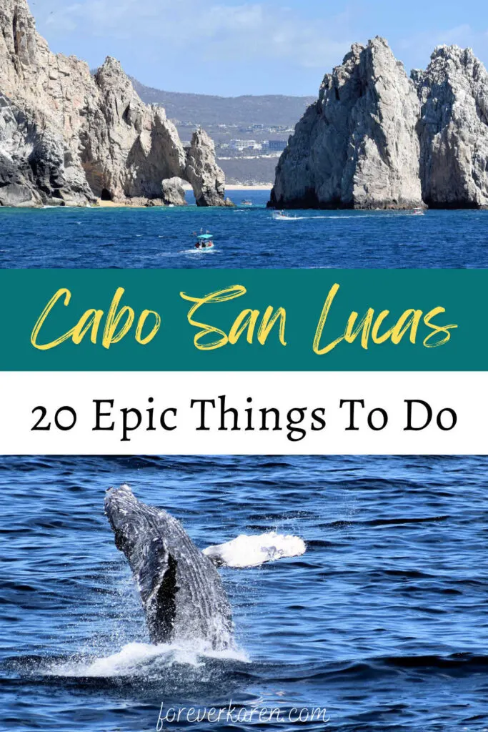 El Arco and a humpback whale in Cabo San Lucas