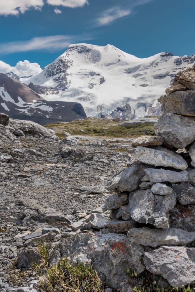 Cairn on the Wilcox Pass Trail