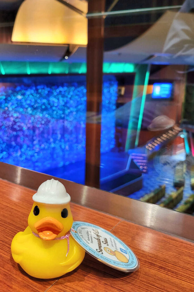 A duck in the theater waiting for someone to find it