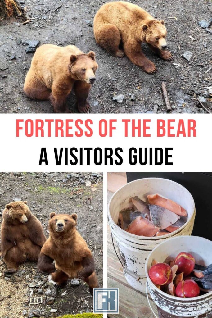 Bears and food at the Fortress of the Bear in Sitka