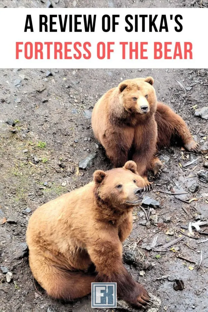 Coastal brown bears at the Fortress of the Bear 