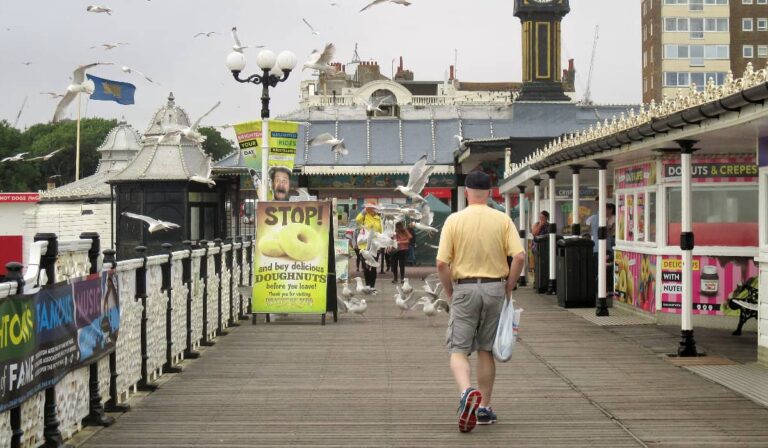 Sea gulls on the Brighton Pier