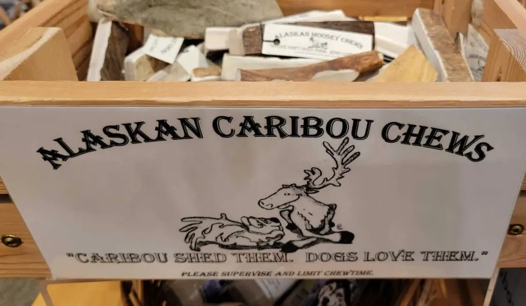 Alaskan Caribou chews