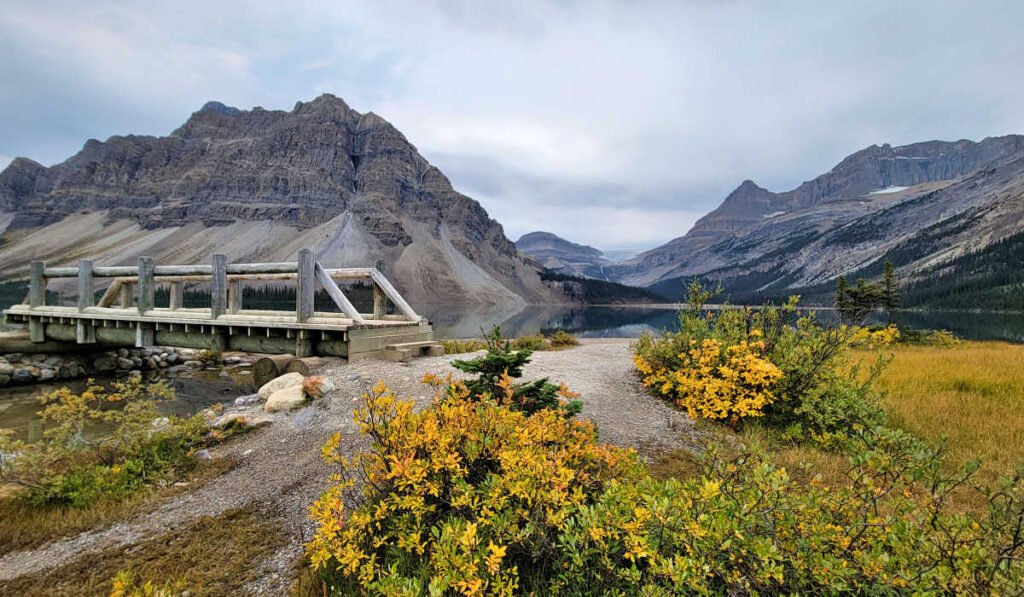 Bow Lake in September with foliage of yellows and green