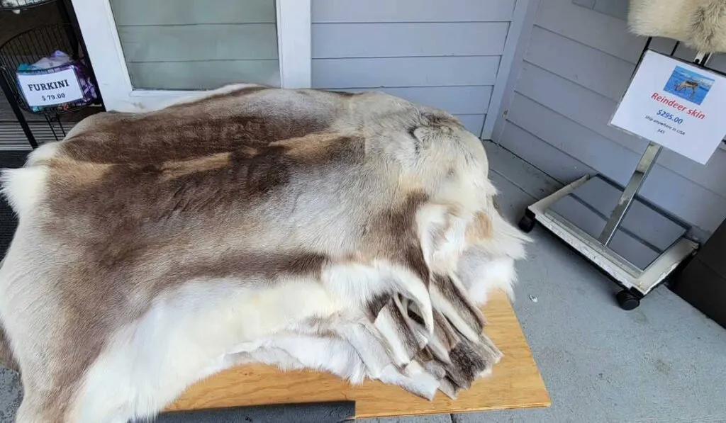 Reindeer skins