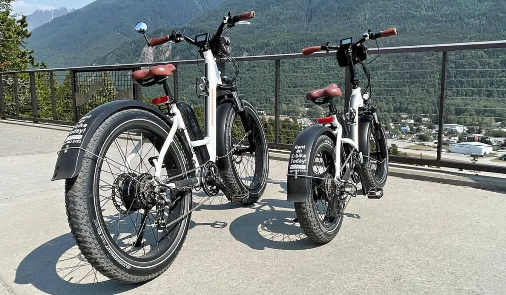 Our Klondike Electric rental bikes in Skagway, Alaska