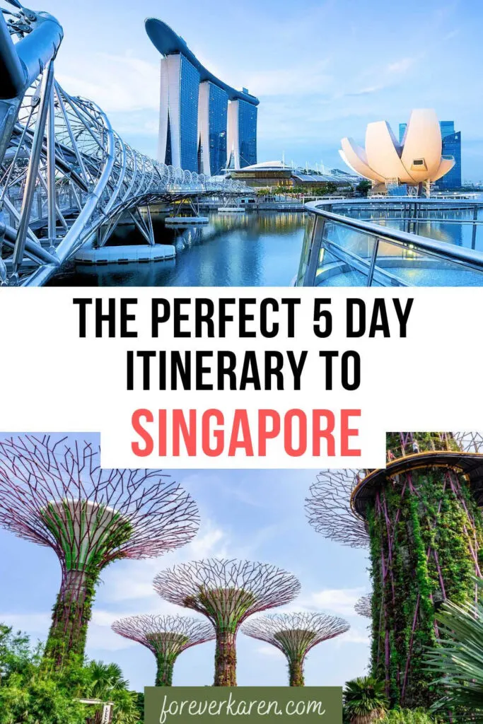 Singapore skyline and the Supertree Grove