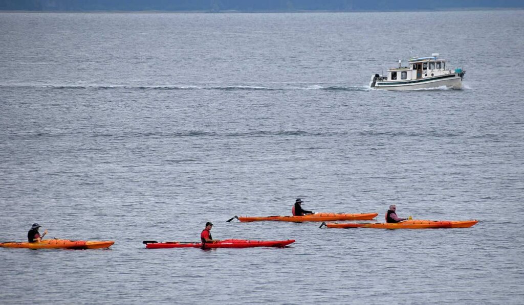 Kayakers in Icy Strait Point