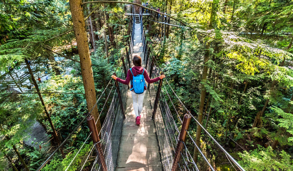 Walking the Treetops Adventure in Capilano Suspension Bridge Park, in Vancouver