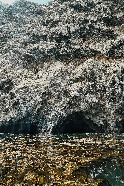Channel Islands National Park landscape