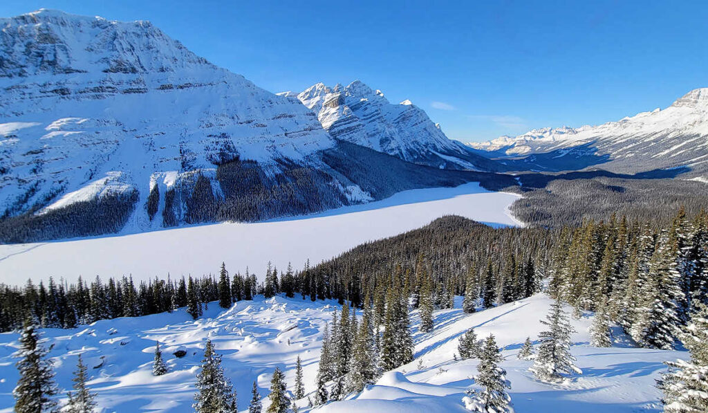 Snow covered Peyto Lake in winter