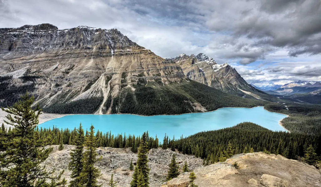 Peyto Lake in summer