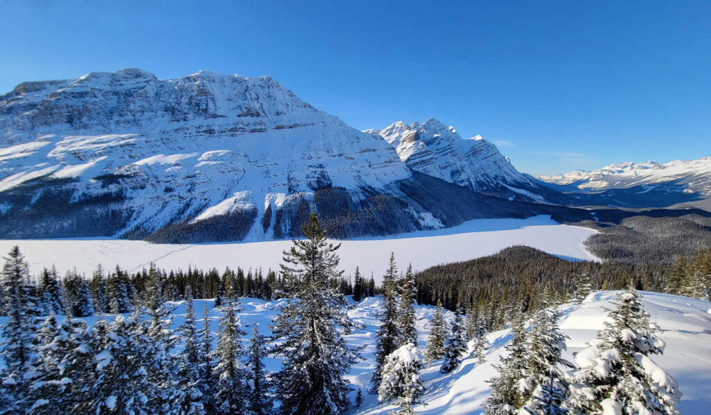 Snow covered Peyto Lake in winter