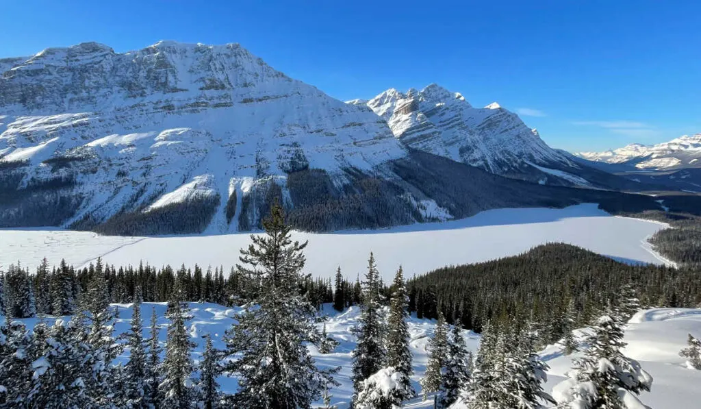 Peyto Lake in winter