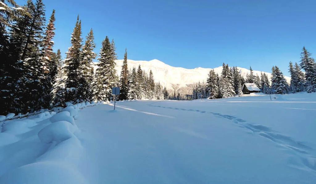 Peyto Lake upper parking lot buried in snow