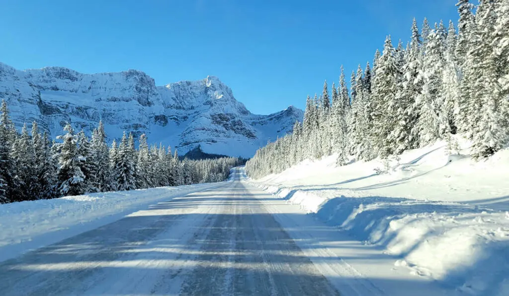 The snowy Icefields Parkway in winter