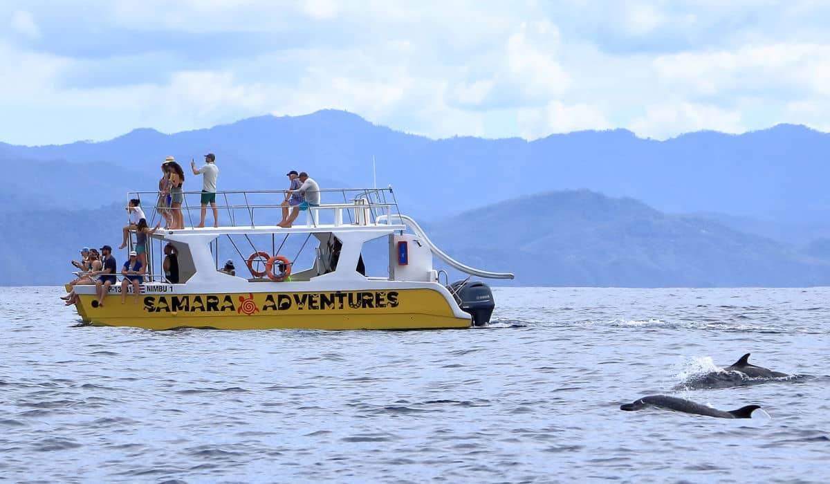 Whale watching in Costa Rica