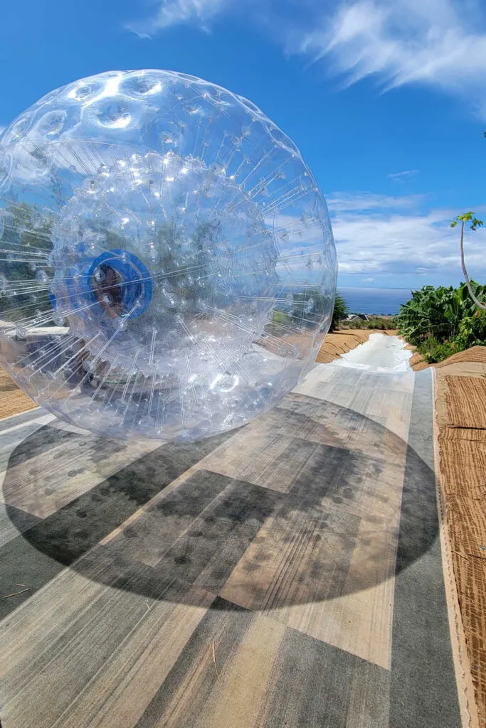 Aquaball at the Maui dragon fruit farm